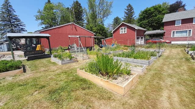 Community garden - Image 1
