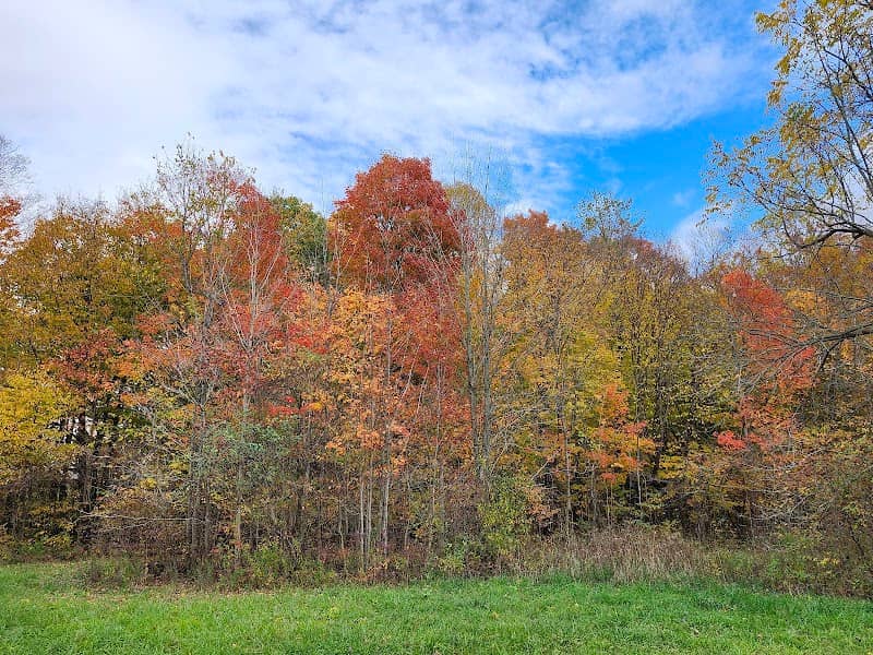 Hullett Provincial Wildlife Area - Blue Trail Access Point - Image 1