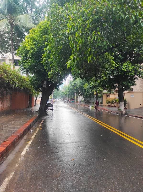 Dhanmondi Zone 11/A - Image 1