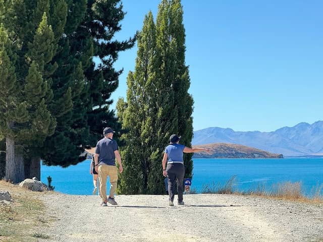 That Tekapo Tree - Image 3