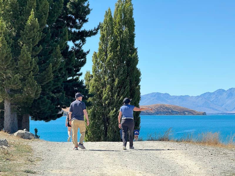 That Tekapo Tree - Image 3