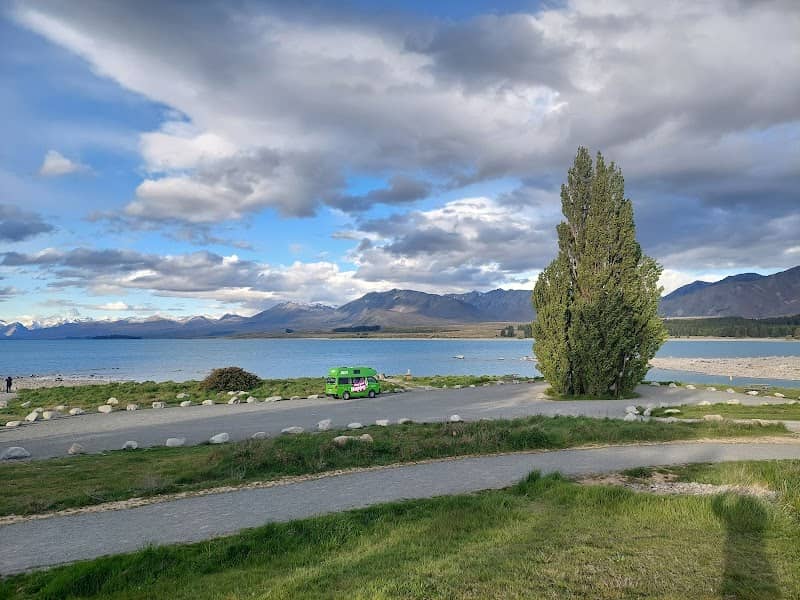 That Tekapo Tree - Image 1