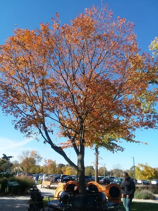 Kiwanis Park - Image 2