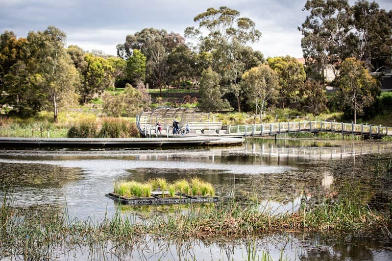 Janefield Wetlands - Image 1