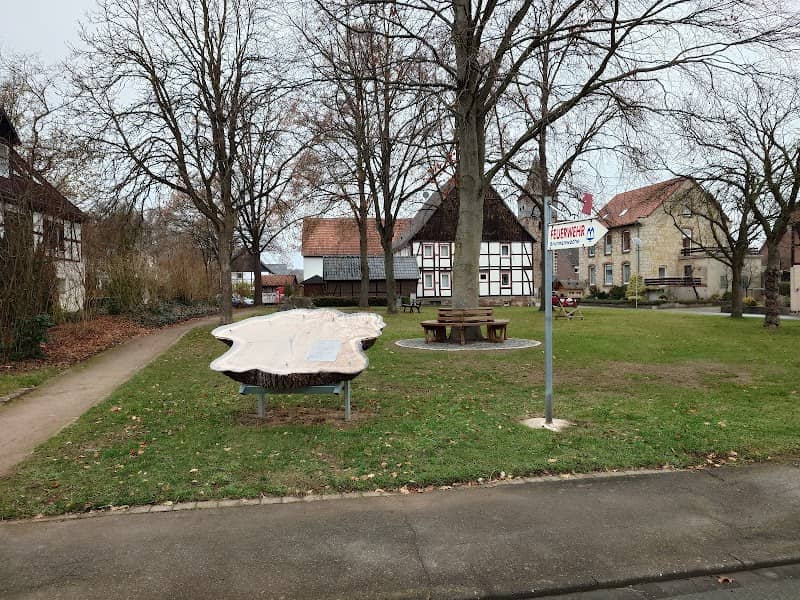 History Tree - Image 1