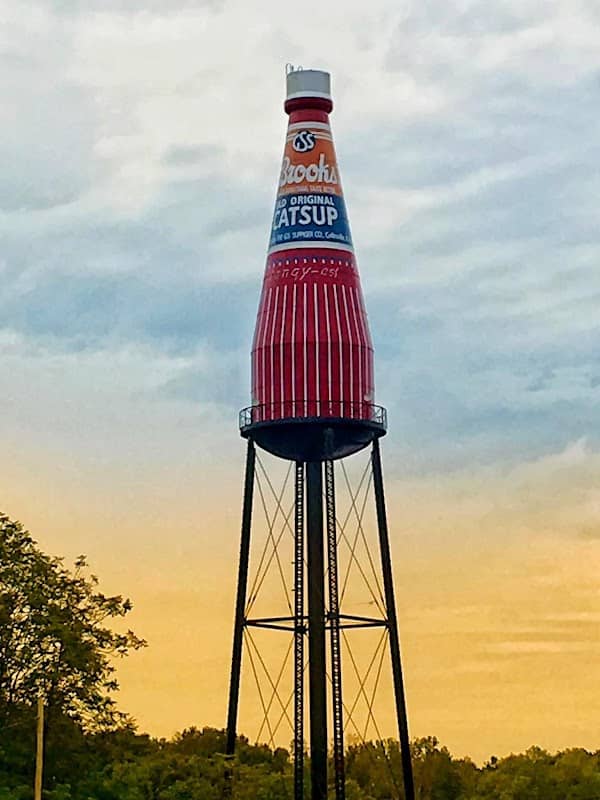 Worlds Largest Catsup Bottle - Image 2