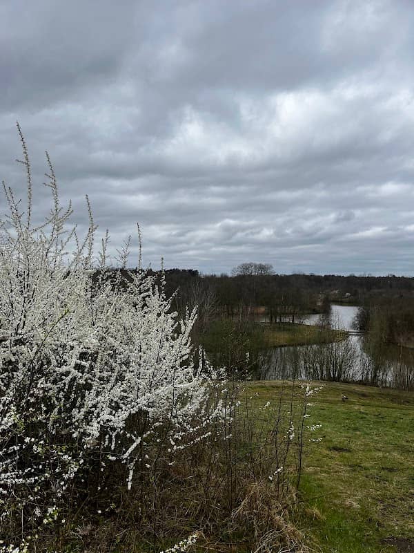 Arboretum Park Wooded Lake Country Meerhoven - Image 2