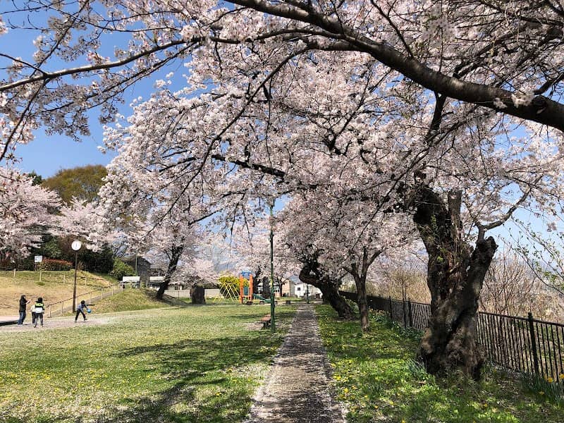 Namikijido Park - Image 2