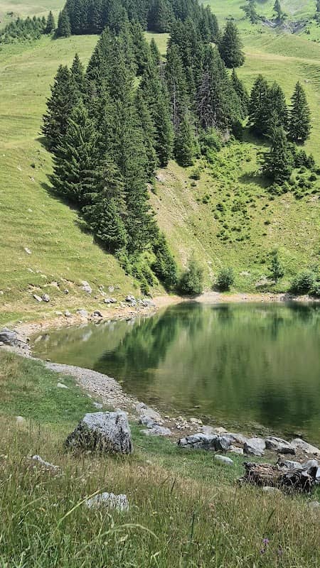 La source des Conifères - Image 2