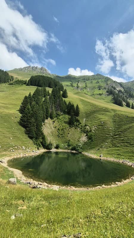 La source des Conifères - Image 1