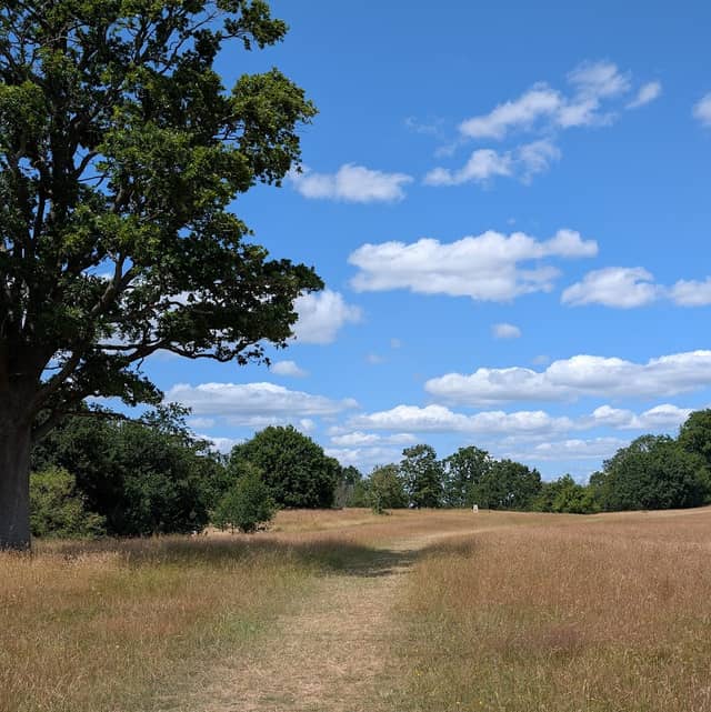 Old Hills - Image 1