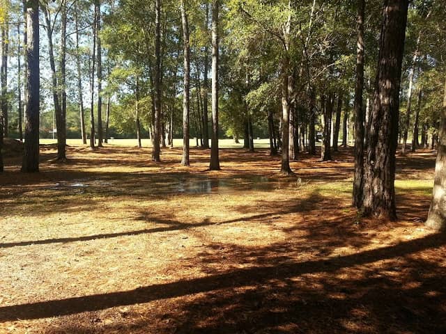 Kountze City Park - Image 1
