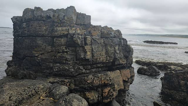 Portrush National Nature reserve - Image 2