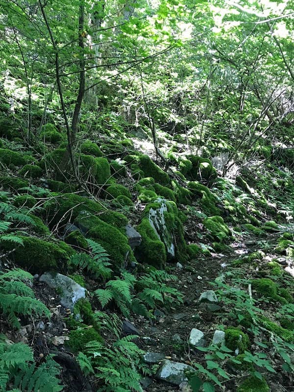 Dry Branch Gap - Image 1
