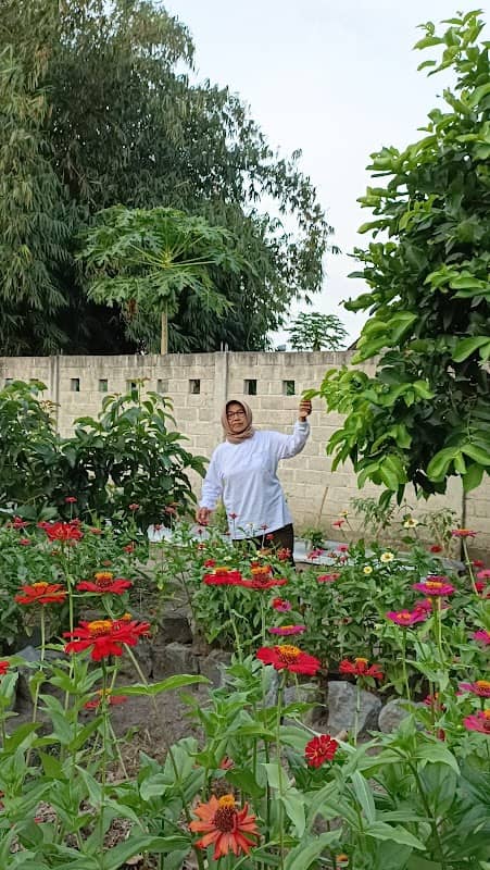 Kebun Kalandra - Image 1