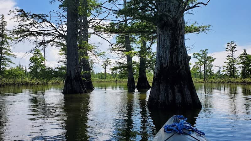 Lower Cache River Access - Image 1