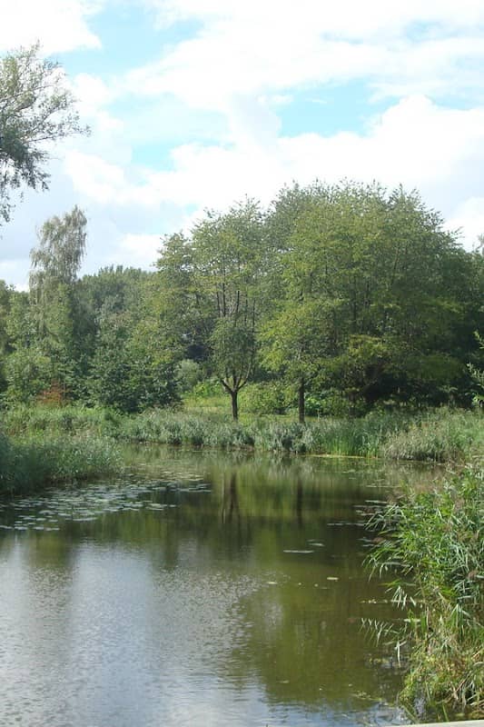 Voedselbos park Uithof - Image 1
