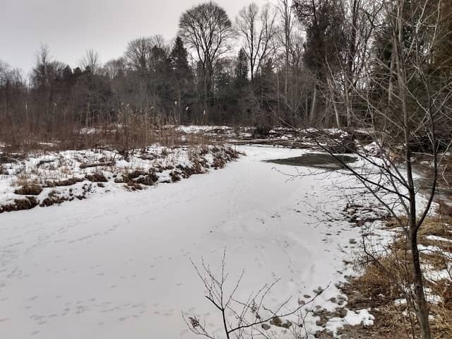 Valley Farm Ravine - Image 2