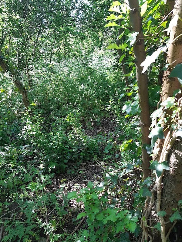 Badsey Lane Nature Reserve - Image 2