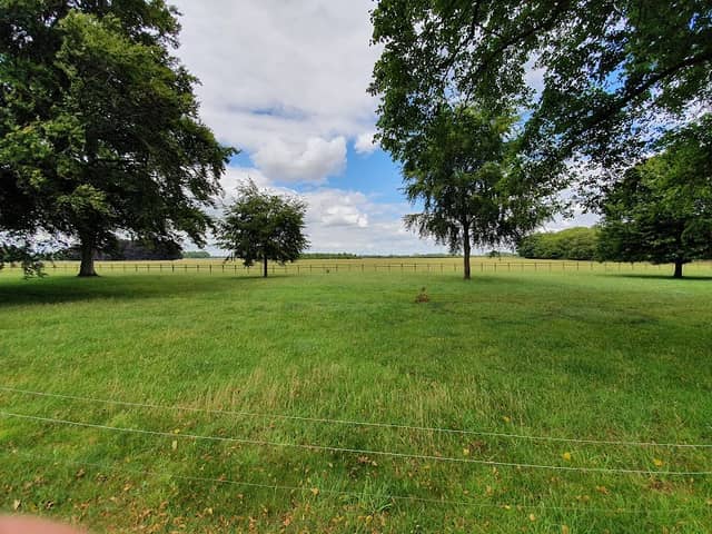 Blenheim Park - Image 1