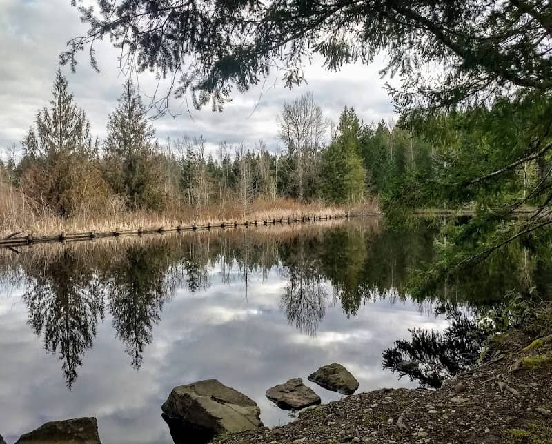Lake Sawyer Access and Trails - Image 2