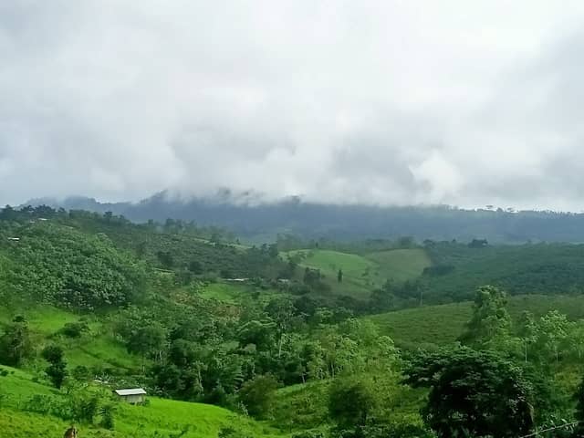 Perichico - Image 1