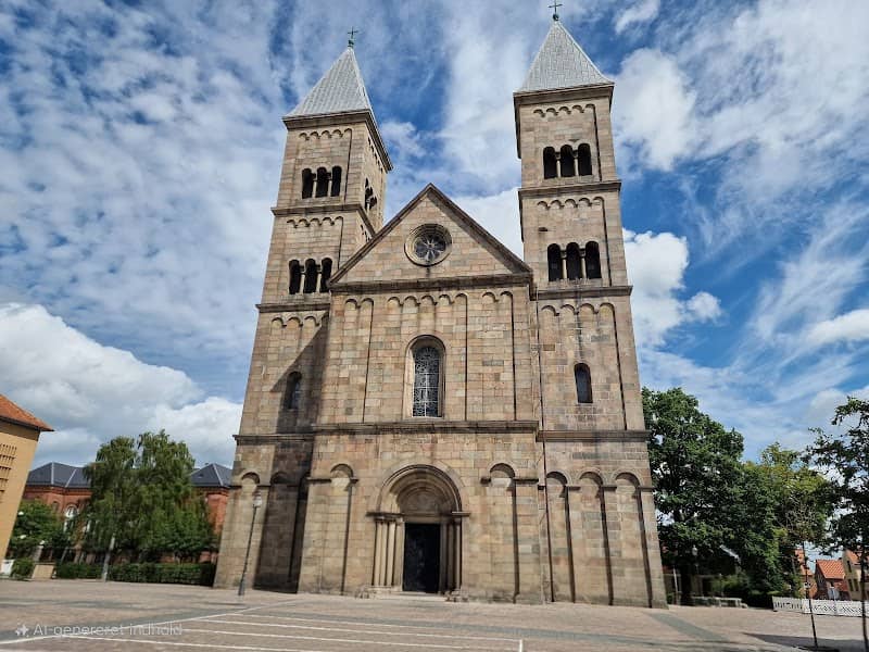Viborg Cathedral - Image 2