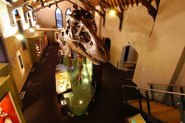 Australian Fossil and Mineral Museum - Image 1