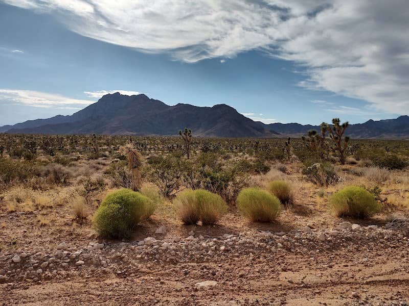 Mormon Mountains Wilderness - Image 1