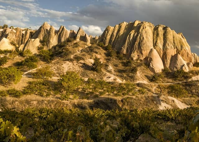 Red Valley - Image 3
