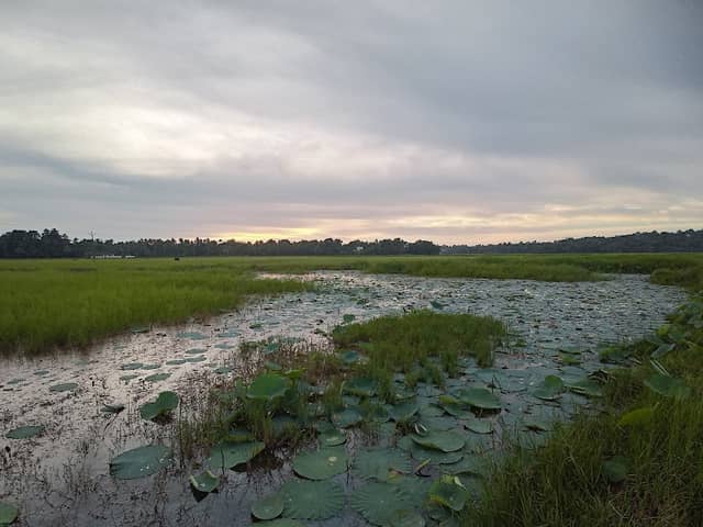 Thazhanchira Padam - Image 1