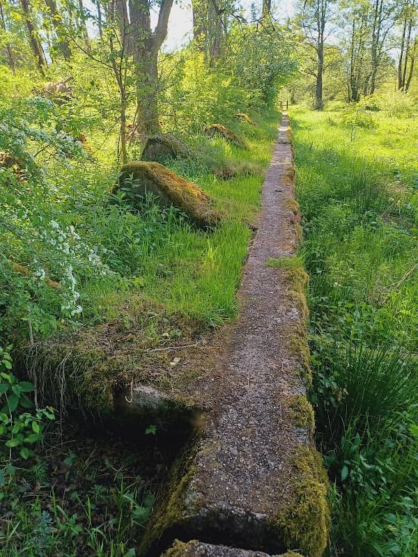 Höckerlinie (Westwall / Siegfriedlinie) - Image 3