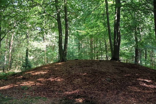 Putterbos - Image 2
