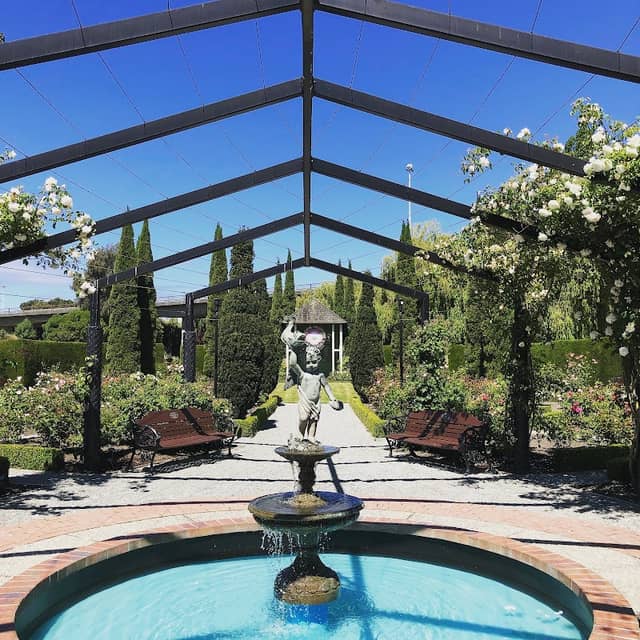 Trevor Griffiths Rose Garden - Image 1