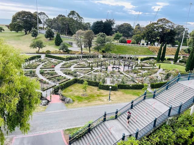 Trevor Griffiths Rose Garden - Image 2