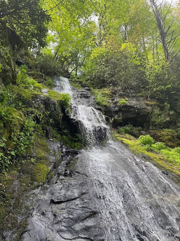 Hen wallow falls - Image 1