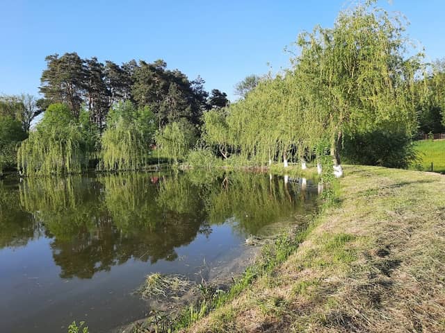 Ponton iaz Dragomirna - Image 1