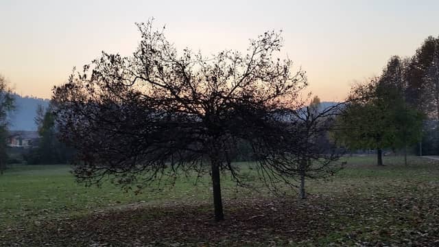 Parco urbano del Garza - Image 1