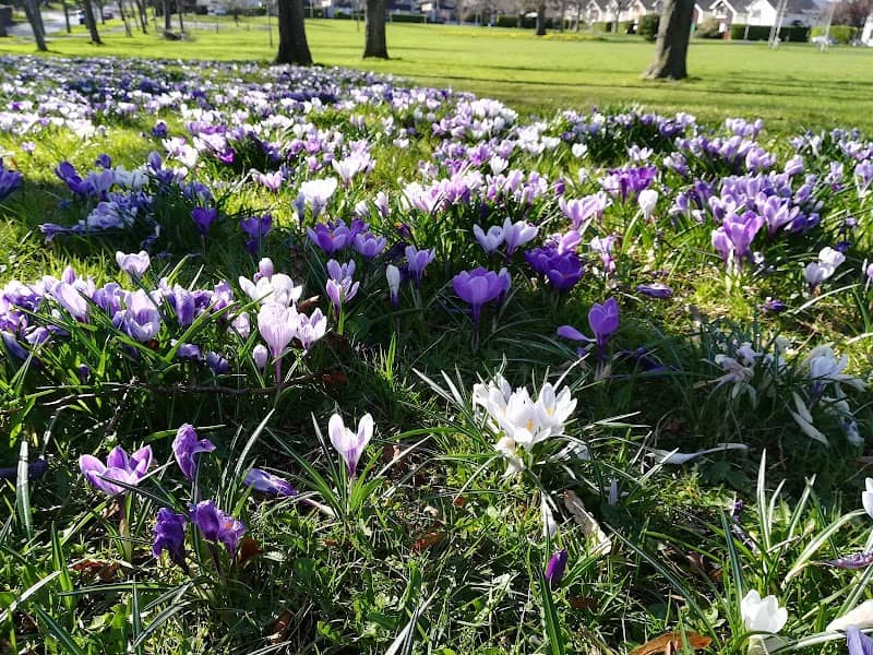 Cabinteely Park - Image 1