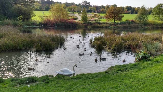 Cabinteely Park - Image 2