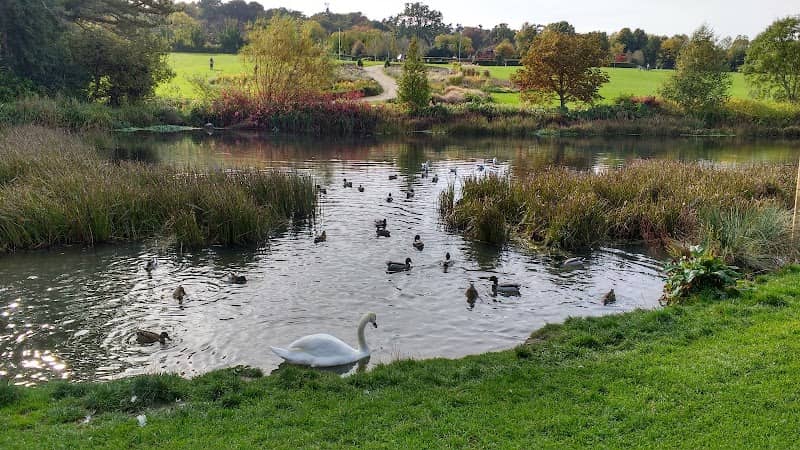 Cabinteely Park - Image 2