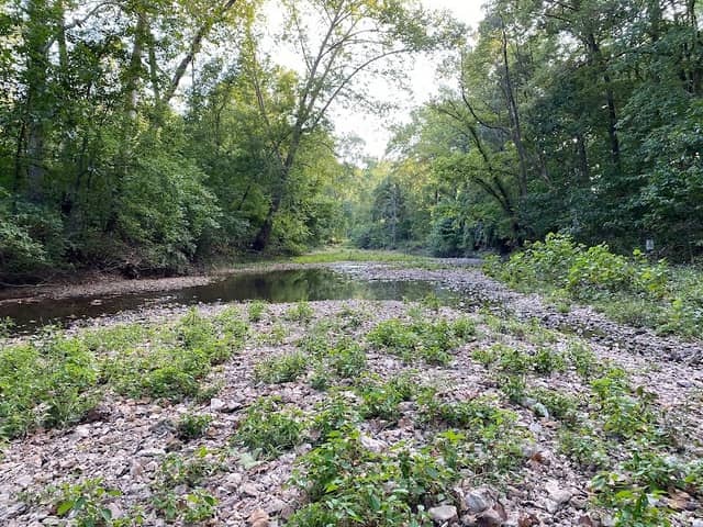 Three Creeks Conservation Area--Tomlin Hill Trailhead - Image 1