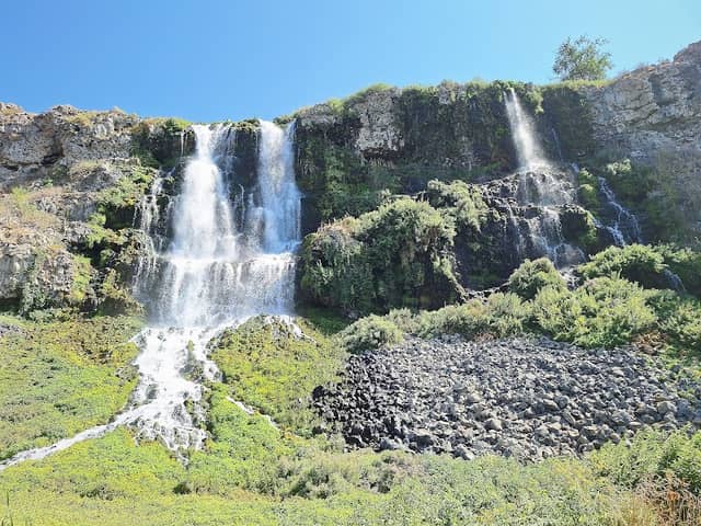 Thousand Springs Preserve - Image 1