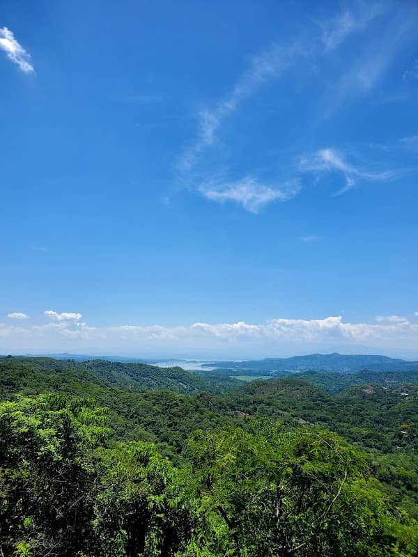 Mirador panorámico Parque ecológico bosque de cinquera - Image 1