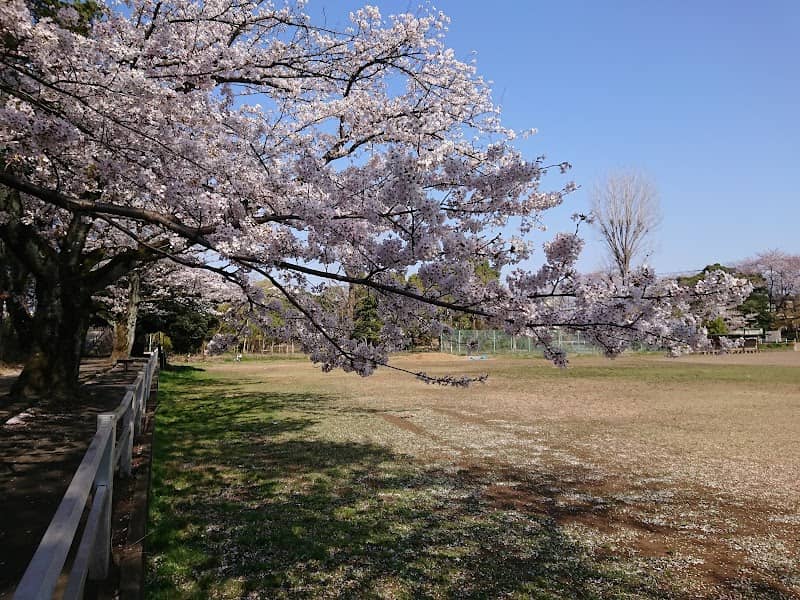 Hakusan Park - Image 2