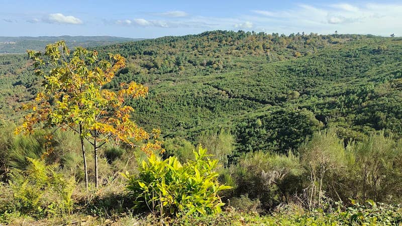 Parque de merendas - Image 1