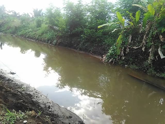 Kali Sepur - Image 2
