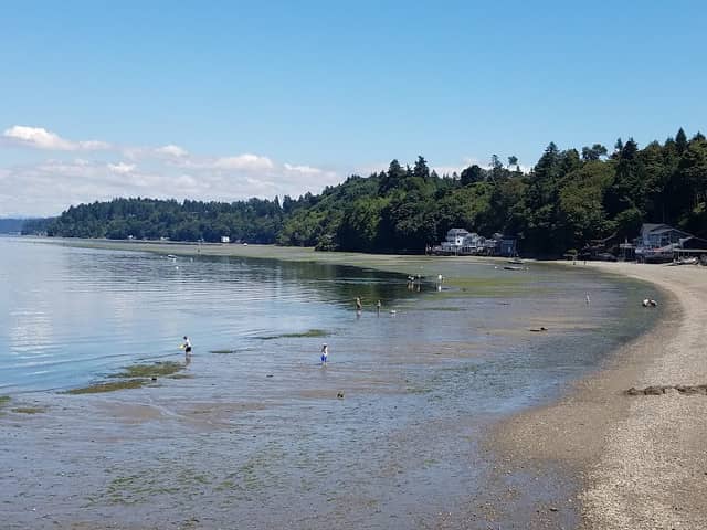 Dash Point State Park - Image 1