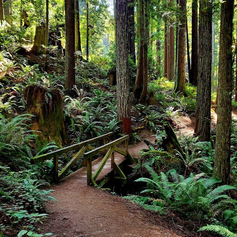 Redwood Park - Image 3