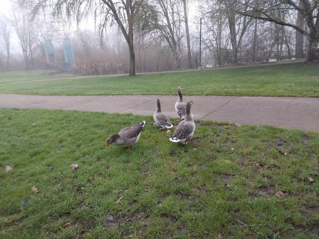 Riverview Heights Park - Image 1